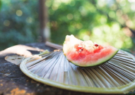 吃瓜入口,揭秘51吃瓜今日入口的趣味与智慧