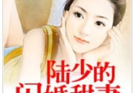 顾少的闪婚甜妻,顾少的神秘娇妻