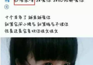 网红黑料网,网络舆论背后的真相与反思