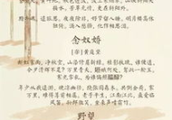 关于春夏秋冬的诗句,春华秋实，夏炎冬雪