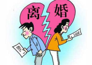 离婚案件咨询,法律知识、调解策略与心理支持全解析