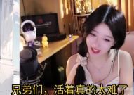 娱乐直播太难播了,揭秘娱乐直播行业背后的挑战与困境