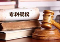 专利侵权,法律界定、案例分析及防范策略