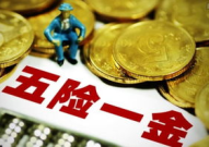 五险一金是什么,全面解析我国社会保障体系的核心内容”