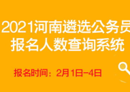 河南华图公务员考试网,全面解析考试流程与技巧