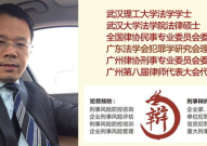 有名的刑事律师,岳云峰律师的辩护艺术与成功案例解析
