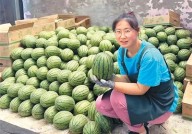 3秒挑出“梦中情瓜” “验瓜师”火了你“吃瓜”了吗？？吃瓜今日必吃
