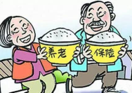 养老保险有哪些,构建和谐社会的坚实保障基石