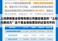上投内需基金,投资策略、净值走势与风险收益分析