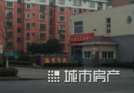 淄川房屋出租最新信息,捡漏机会与多样化选择一览