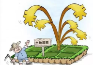 无效合同的五种情形,无效合同五大情形解析
